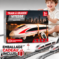 Jeu du train TGV