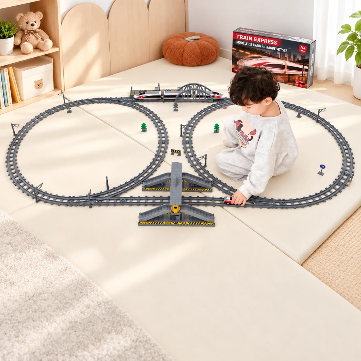 Jeu du train TGV